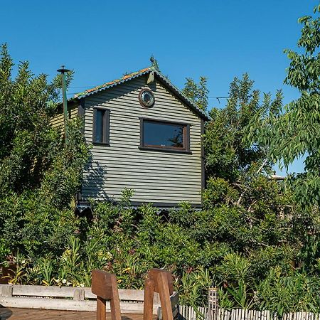 Вилла Casa Del Arbol - Tierra De Arte San Jorge  Экстерьер фото