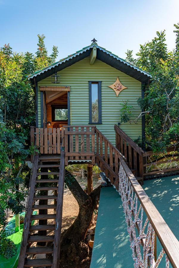 Вилла Casa Del Arbol - Tierra De Arte San Jorge  Экстерьер фото